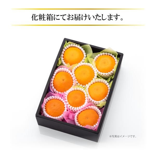 甘平・せとか〈化粧箱入〉約2kg【詰合せ】 - Full Fresco 甘平・せとか〈化粧箱入〉約2kg【詰合せ】 - Full Fresco