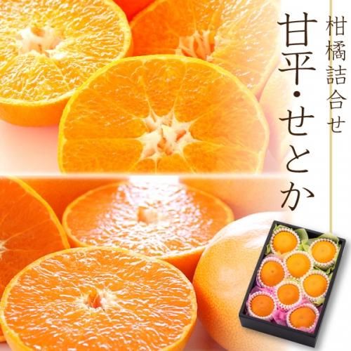ʿȤҲȢkgڵ͹礻