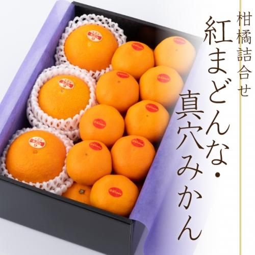 ڵ͹礻۹ȤޤɤʡߤҲȢ