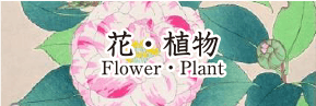 花・植物 FLOWER・PLANT