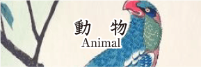 動物 ANIMAL（BIRD etc.）