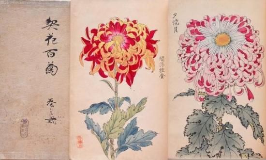 契花百菊 巻之一・二 Keika Hyakkiku vol.1, 2 - 赤尾照文堂は 契花百菊 巻之一・二 Keika Hyakkiku vol.1, 2 - 赤尾照文堂は