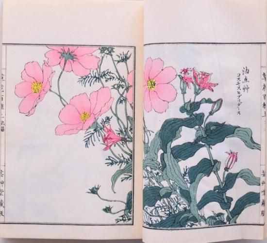 草花百種　全4冊 草花百種 全4冊揃 / 幸野楳嶺・幸野西湖 | Natsume Books