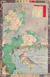 Ļ衡ʬ  Ƿ    (դ褦) ()