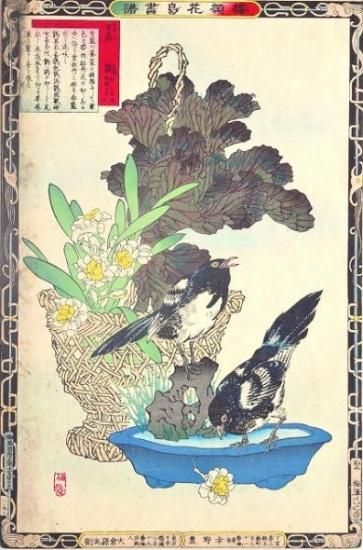 9366幸野楳嶺! 花鳥画 絵入絵本 2□楳嶺百鳥画譜/続編□ 彩色木版画 