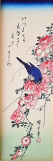 広重短冊集 分売 ： ばらと瑠璃鳥