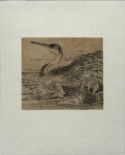 ɴĻ³ ʪ (one piece˹ ¹ BAIREI KONO MAGOEMON OOKURA