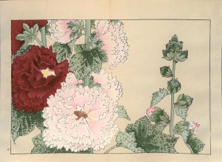 ֿ  ë幭          Western flower collection Tanigami Konan Ʋ  ʪone piece氪 ۥ꡼ۥå