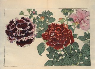 ֿ֡  ë幭   Western flower collection Tanigami Konan Ʋ  ʪone piece)  Ⱥ ڥ˥