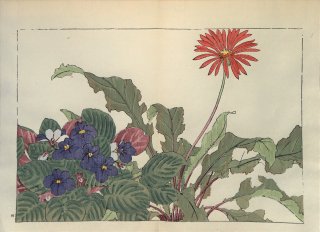 ֿ֡  ë幭  Western flower collection Tanigami Konan Ʋ  ʪone piece)٥顢ȥݥꥢ