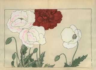 ֿ֡  ë幭  Western flower collection Tanigami Konan Ʋ  ʪone piece)  ݥåԡ 械