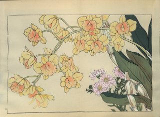 ֿ  ë幭  Western flower collection Tanigami Konan Ʋ  ʪone piece) Υ󥰥졢ɱetc.