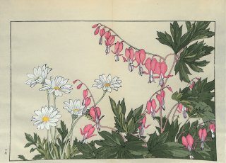 ֿ  ë幭  Western flower collection Tanigami Konan Ʋ  ʪone piece) ǥȥ ڥӥꥹޥå 