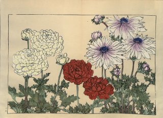 ֿ  ë幭  Western flower collection Tanigami Konan Ʋ  ʪone piece)  ͥ