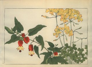 ֿ֡  ë幭  Western flower collection Tanigami Konan Ʋ  ʪone piece)  ꥹ ֥ 