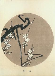 ղ Jakuchu Gafu ʬ:߲ Plum Blossom  Ʋ ̿Ǻ 41ǯ(1908˰ʪone piece