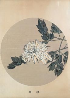 ղ Jakuchu Gafu ʬ:ð Peony 1 Ʋ ̿Ǻ 41ǯ(1908˰ʪone piece