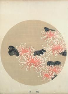 ղ Jakuchu Gafu ʬ:Ʋ Chrysanthemum  Ʋ ̿Ǻ 41ǯ(1908˰ʪone piece