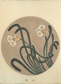 ղ Jakuchu Gafu ʬ:  Narcissus Ʋ ̿Ǻ 41ǯ(1908˰ʪone piece