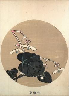 ղ Jakuchu Gafu ʬ:ܫ 奦ɥ Begonia a Ʋ ̿Ǻ 41ǯ(1908˰ʪone piece