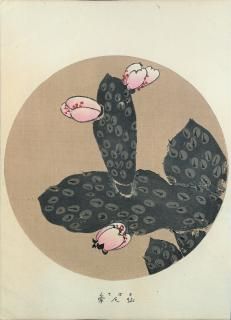 ղ Jakuchu Gafu ʬ:; ܤƤ Cactus  (A)  Ʋ ̿Ǻ 41ǯ(1908˰ʪone piece