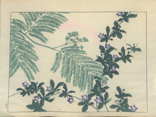 四季の花 SAKAI HOUITSU酒井抱一、鈴木其一、中野其明 彩色木版刷 一枚 