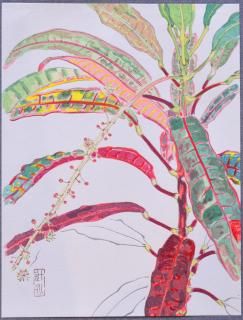 ȥǥå βk    (Ȥ) ̿Ǻ Woodblock prints by contemporary painters Kuroton Tsuji Hisashi