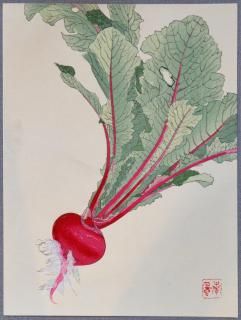 ȥǥå ܲ    () Woodblock prints by contemporary painters Red Turnip Katayama Nanpu