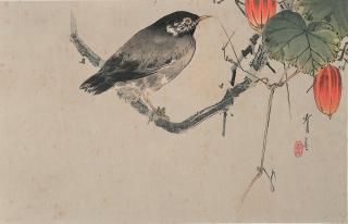 ǲ woodblock prints  ɮ  Seitei Watanabe Japanese snake gourd 