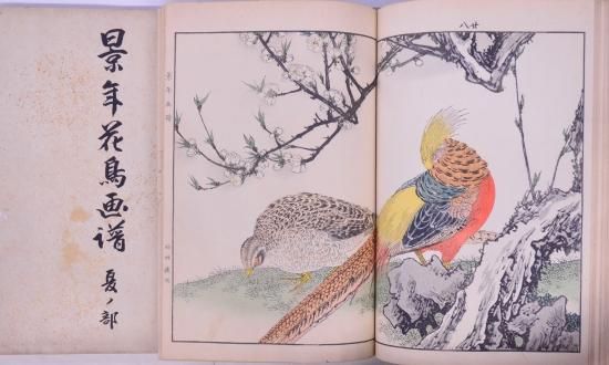景年花鳥画譜 初版 春ノ部~冬ノ部 - 赤尾照文堂は、京都の寺町 景年花鳥画譜 初版 春ノ部~冬ノ部 - 赤尾照文堂は、京都の寺町
