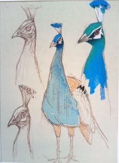ȥǥå ֹ ǫ դ Woodblock prints by contemporary painters Peacock Yasushi Sugiyama