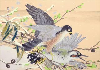 ڻĻ ʬ28:ؤ䤷֤˾ ()  Rakuzan Kachou Gafu : Green Alder and Japanese Sparrowhawk (Winter)