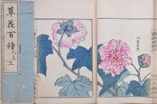 ɴ    Souka Hyakusyu Vol.2-1