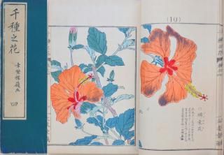 Ƿ   Chigusa no Hana vol.4 by Kouno Bairei