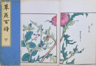 ɴ   Souka Hyakusyu Vol.1-2  Kouno Bairei