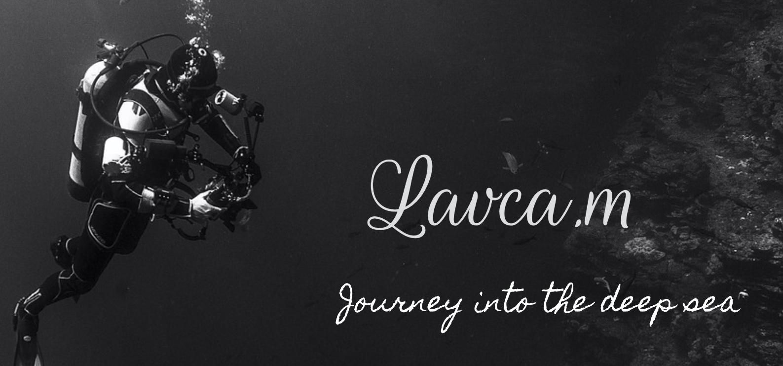 深海魚ファッションブランド Lavca M 深海魚ファッションブランド Lavca M