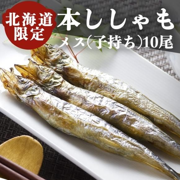 本ししゃもメス 特大10尾 活食 隠れ酒蔵 かけはし 北2条店