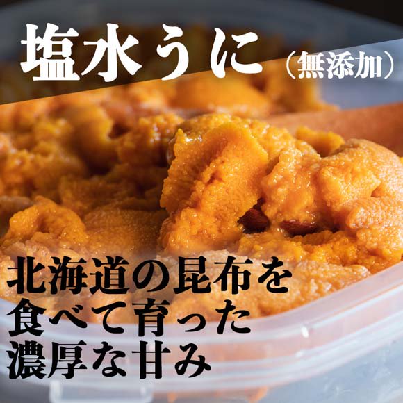 塩水うに 無添加 100g 1パック 6 480円から8 640円 変動します 活食 隠れ酒蔵 かけはし 北2条店