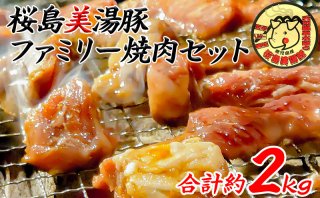 【鹿児島県垂水市】桜島美湯豚　ファミリー焼肉セット