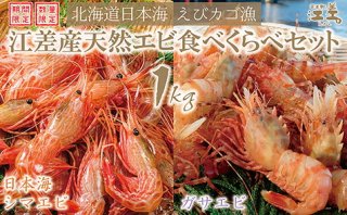 【北海道江差町】天然えび食べくらべセット 日本海シマエビ（大）＆ガサエビ