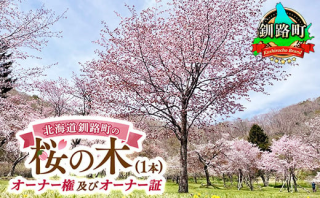 【北海道釧路町】自然保護 釧路町別保公園内に植える遅咲きの桜の木 オーナー権＜1本分＞