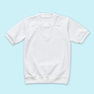 SAS500F ư Ⱦµ ݼ åʤ ľ微 