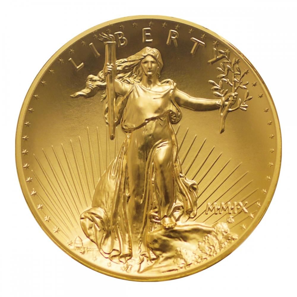 アメリカ 2009年 ウルトラハイレリーフ 20ドル金貨 NGC MS70