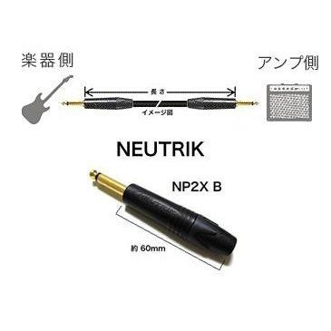 GS-6 / CANARE / �ڴ�¦��NP2X B�ʥե����� / ���å��� / �����¦��NP2X B�ʥե����� / ���å��� / Ĺ����5m