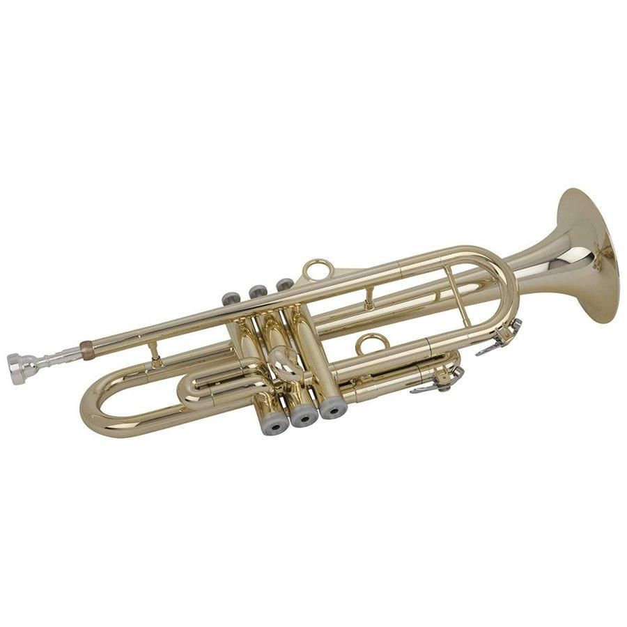 Amazon.co.jp: pInstruments ピーインストゥルメンツ