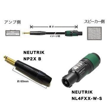 4S6 / CANARE / �����¦��NP2X B�ʥե����� / ���å��� / ���ԡ�����¦��NL4FXX-W-S�ʥ��ԥ���� / Ĺ����3m