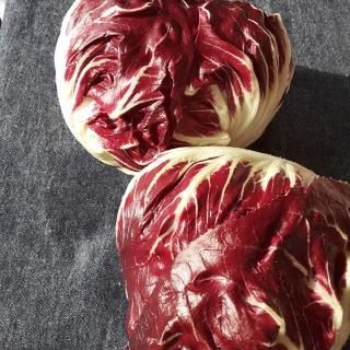 ＊ルッコラページ＊ ローマ】ルッコラ・セルバチカ小袋（500粒） - トキタオンライン