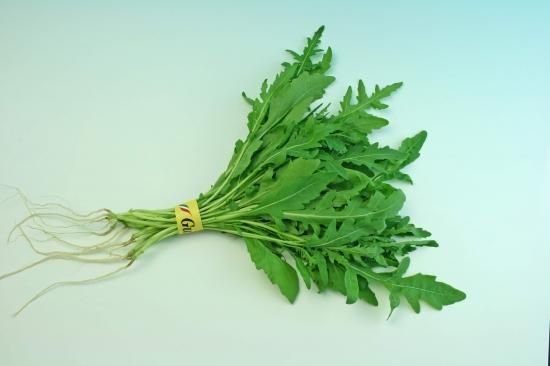 ＊ルッコラページ＊ ローマ】ルッコラ・セルバチカ小袋（500粒） - トキタオンライン