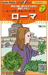＊ルッコラページ＊ ローマ】ルッコラ・セルバチカ小袋（500粒） - トキタオンライン