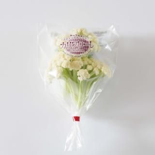 Ĳ̽вѡѥåޡۥե<br>ʵʡ100